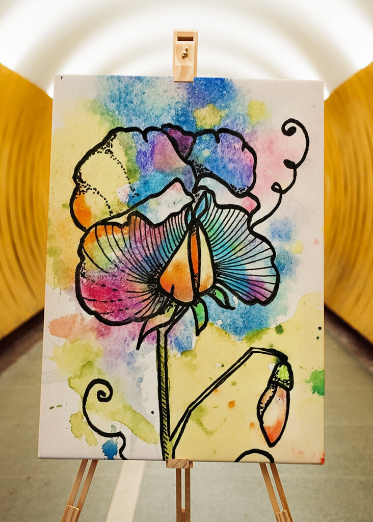 Colorful Bloom Burst