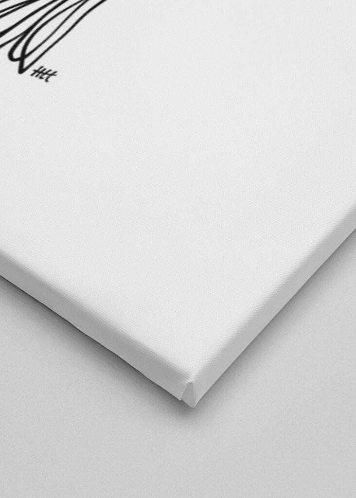 Virtaava lintujen armo