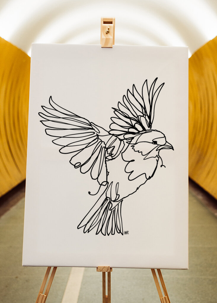 Virtaava lintujen armo