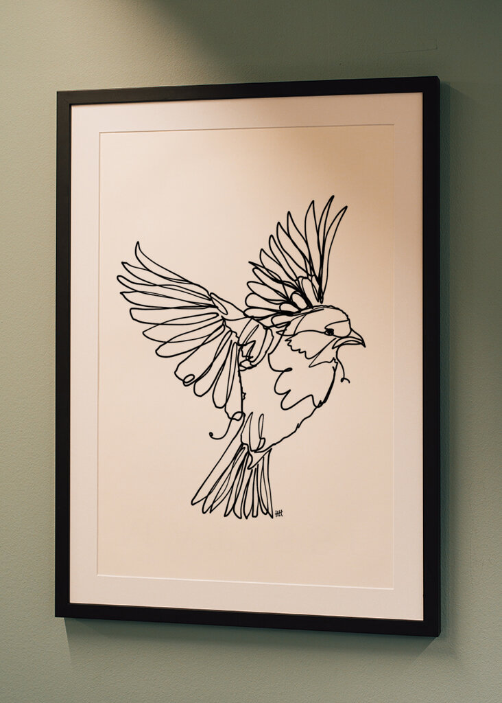 Virtaava lintujen armo