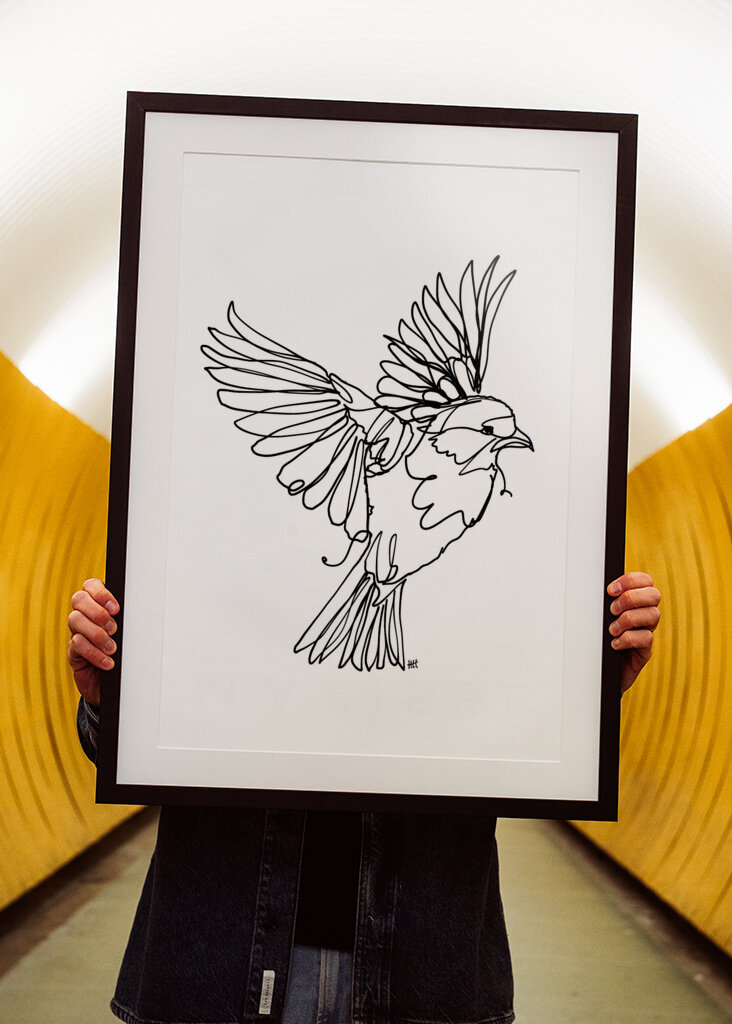 Virtaava lintujen armo