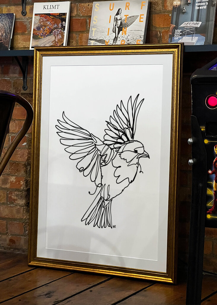 Virtaava lintujen armo