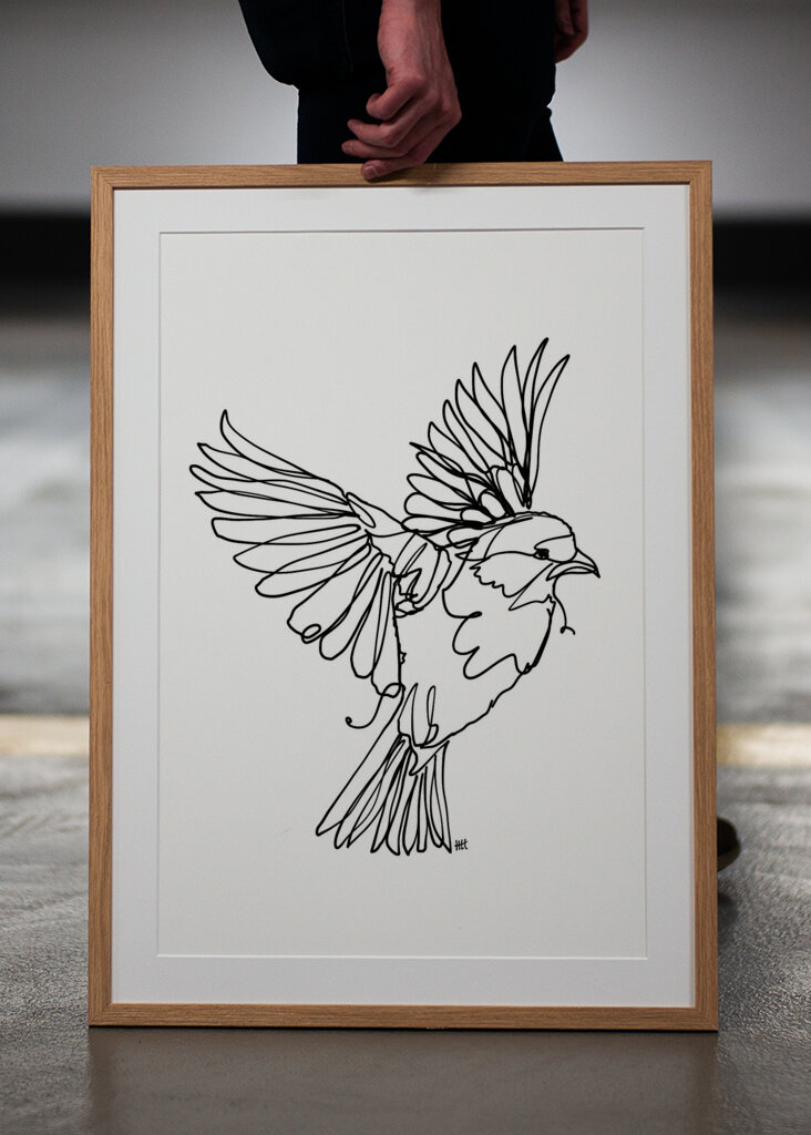 Virtaava lintujen armo