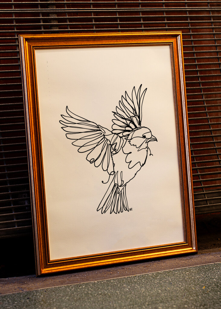 Virtaava lintujen armo