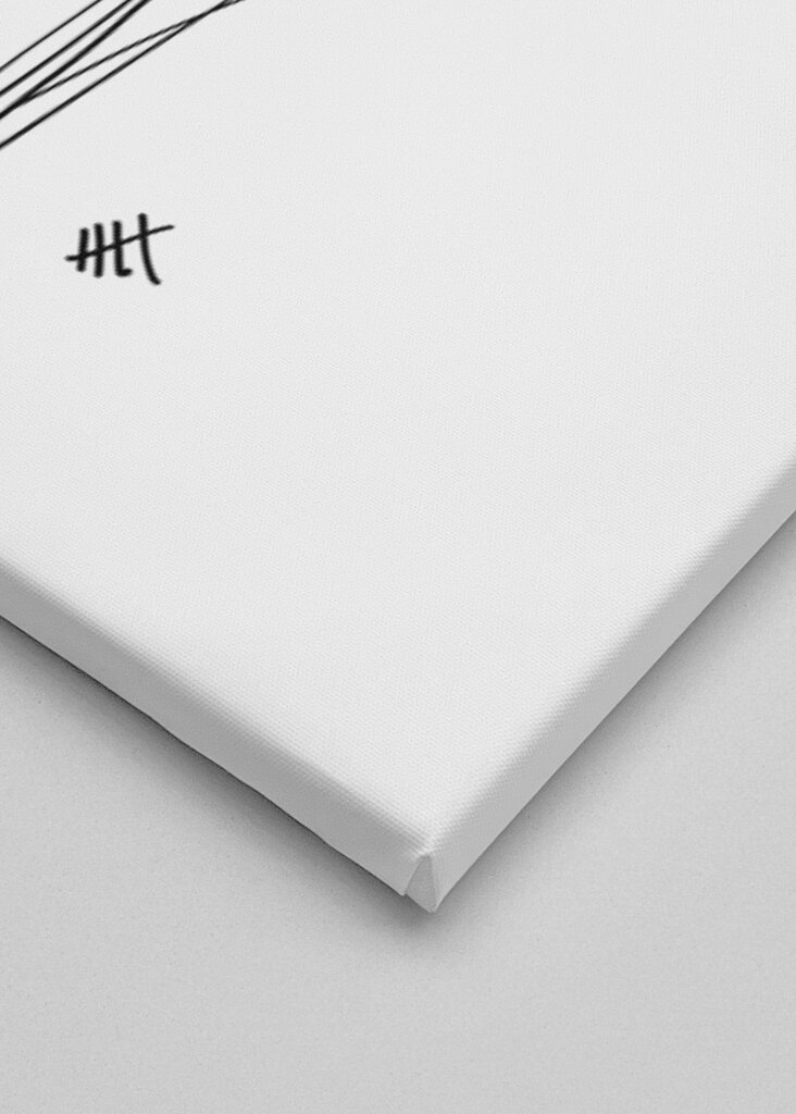 Květinová linie Elegance