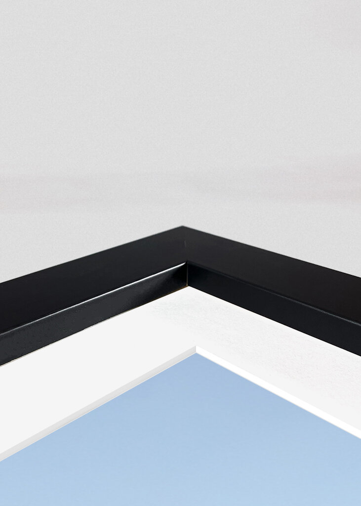 Meeting with reindeer