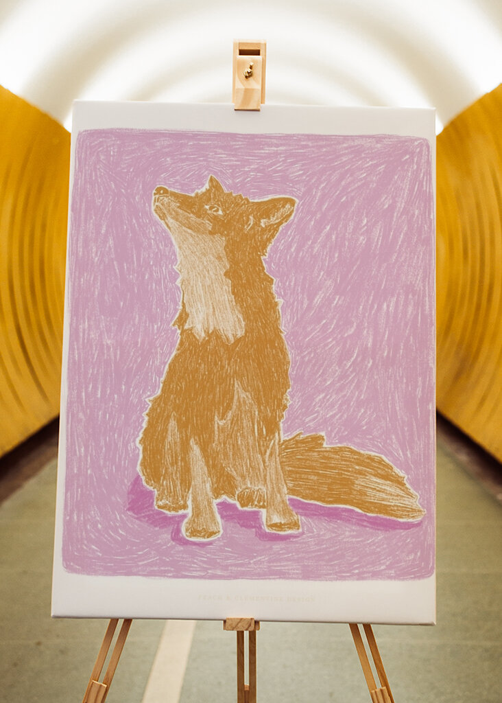 Arany róka tekintete