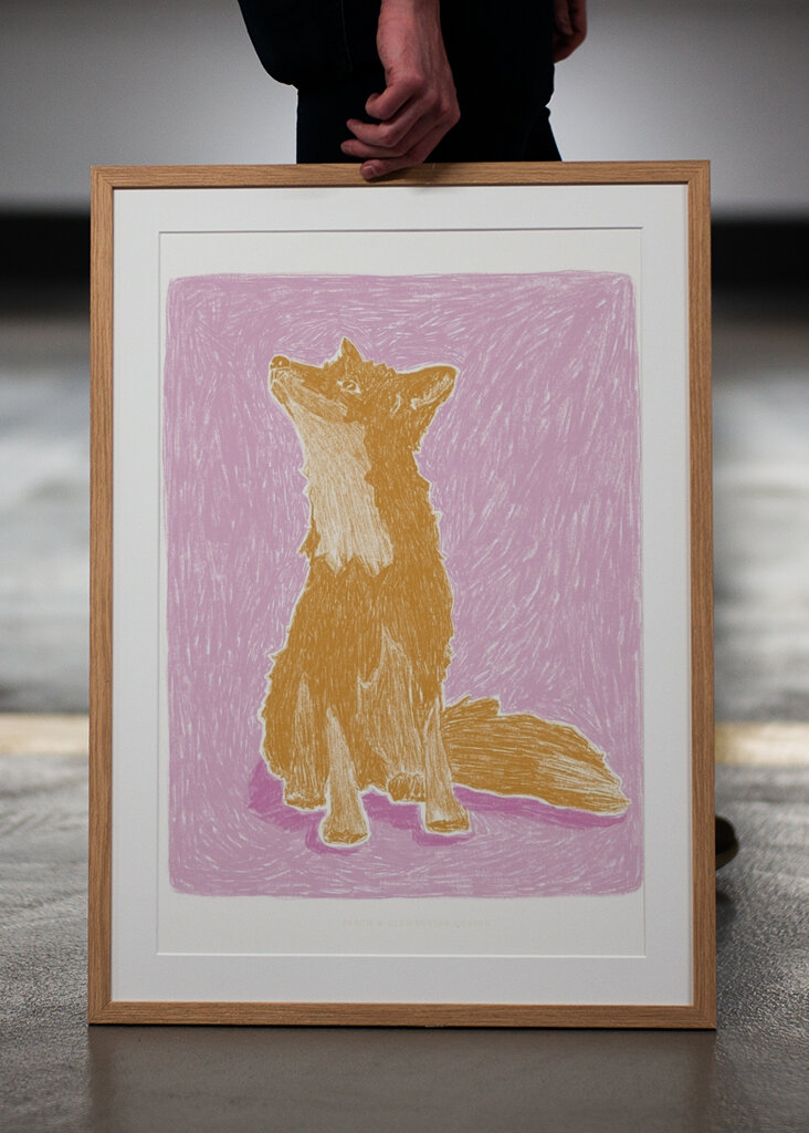 Arany róka tekintete