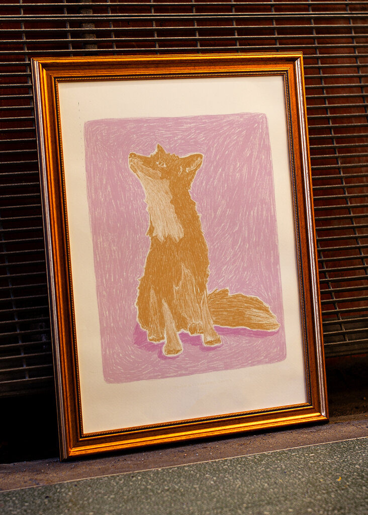 Arany róka tekintete