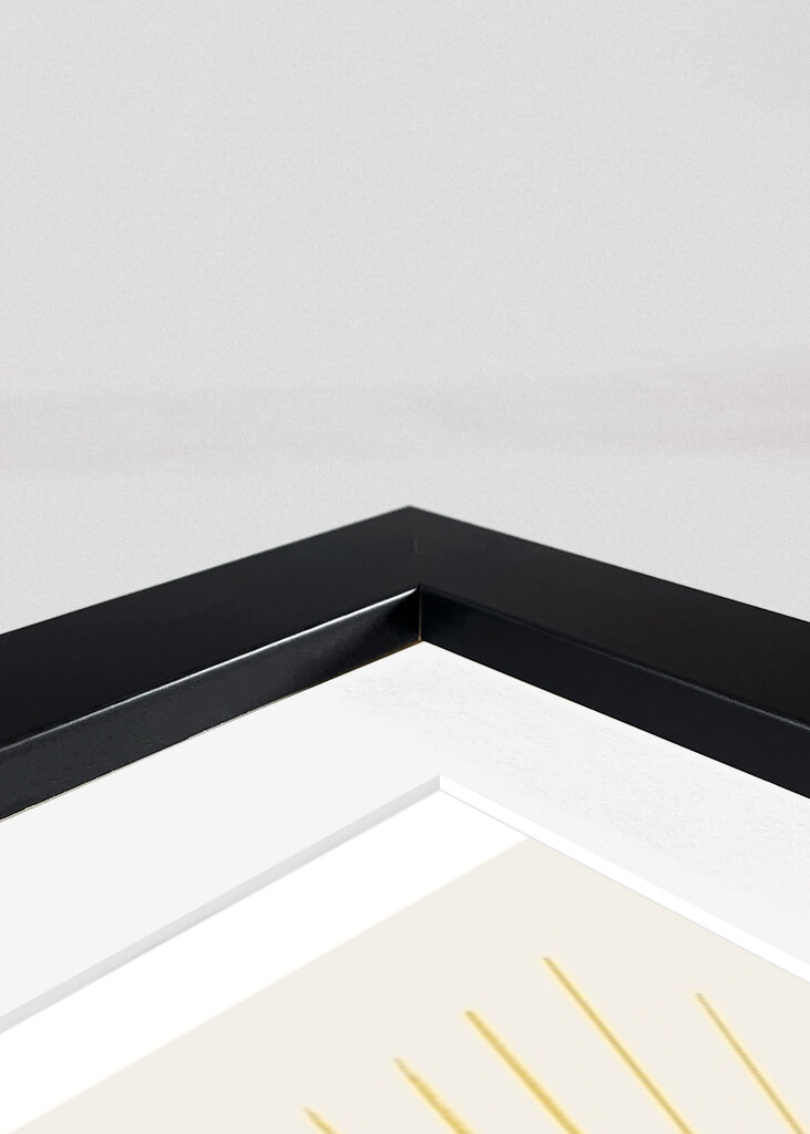 Dynamic Aries Display