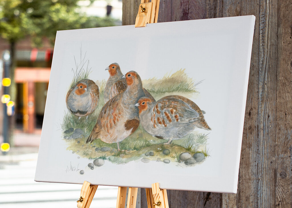 Recolección de perdices