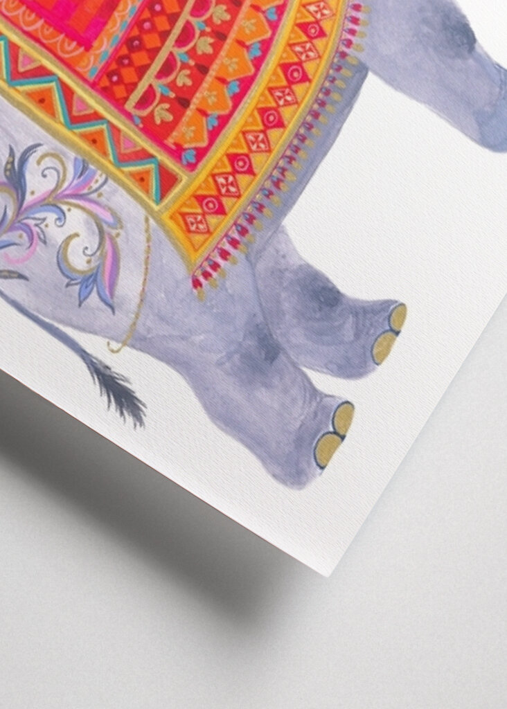 Rozmar sloní přehlídky