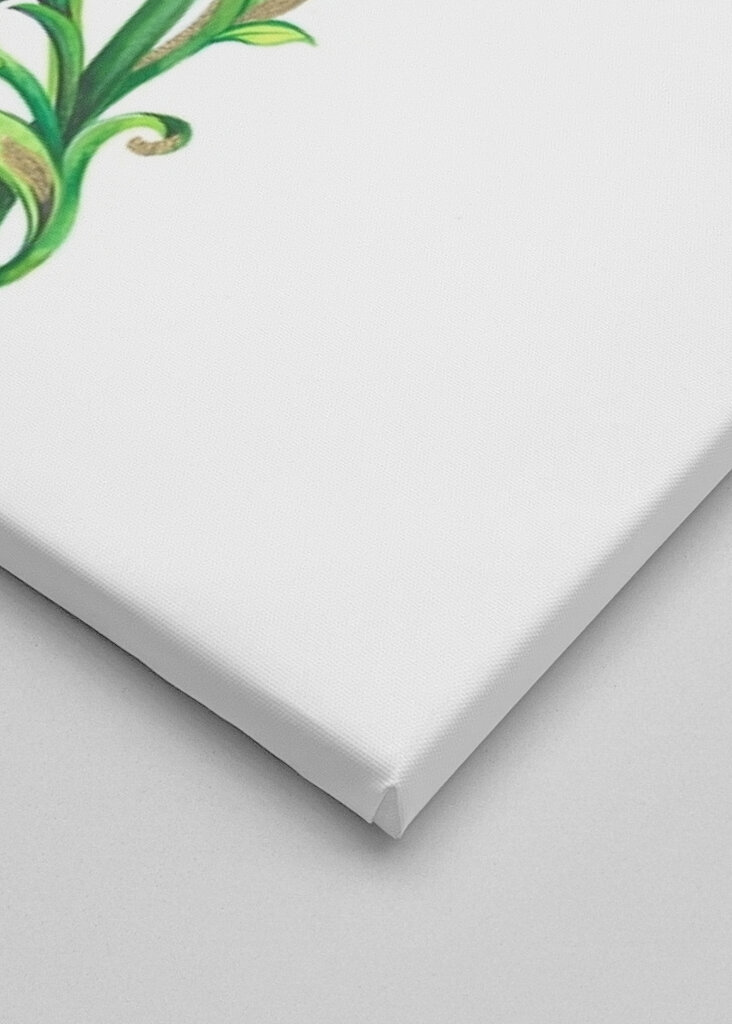 Lily's Graceful Bloom