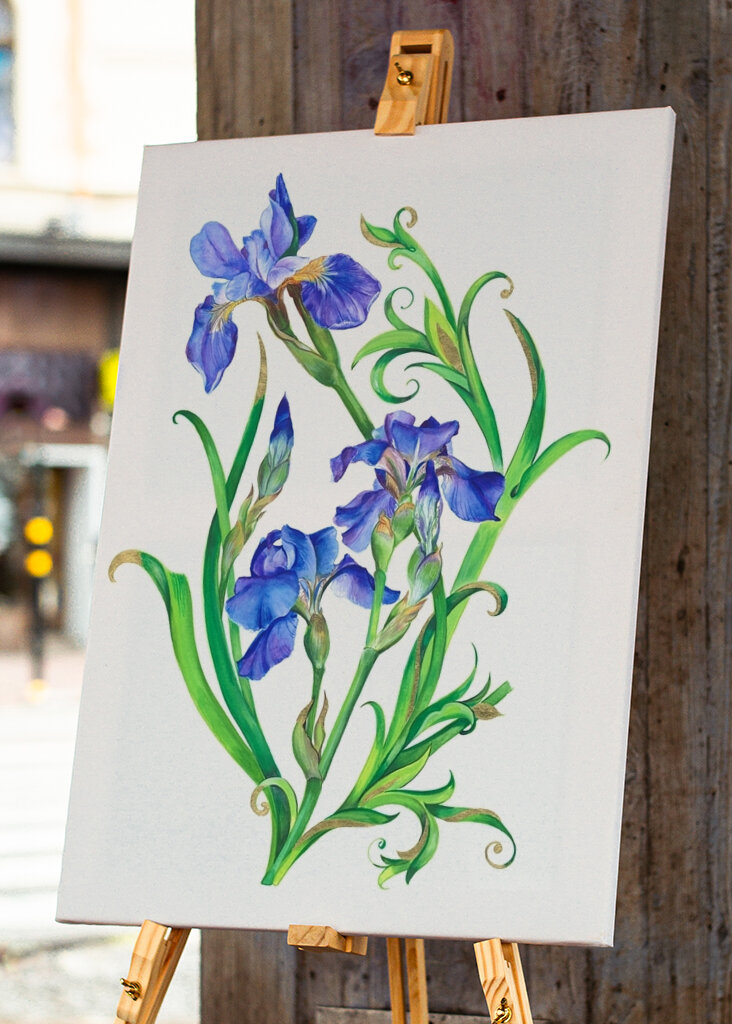 Fleurs d’iris vibrantes