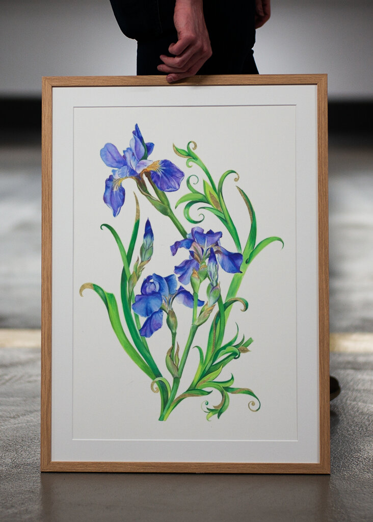 Fleurs d’iris vibrantes