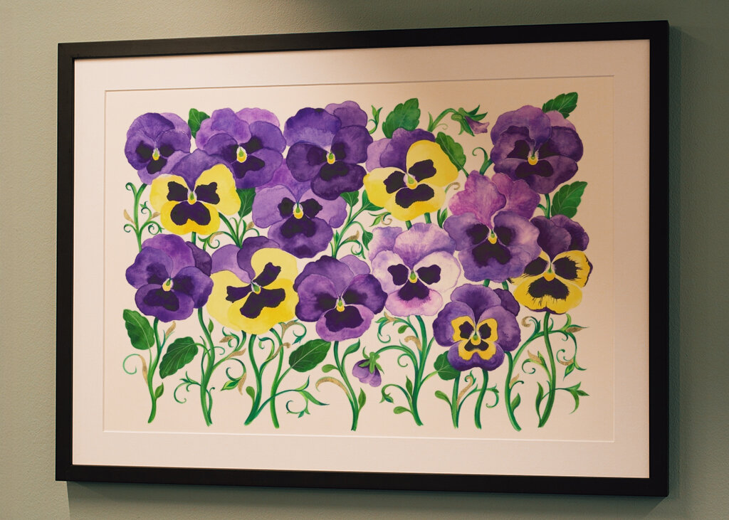 Pansy Symphony