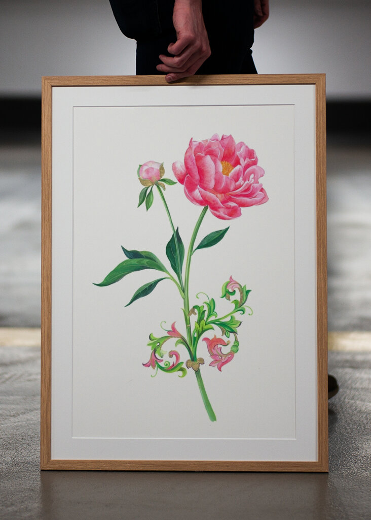 Peony Elegance