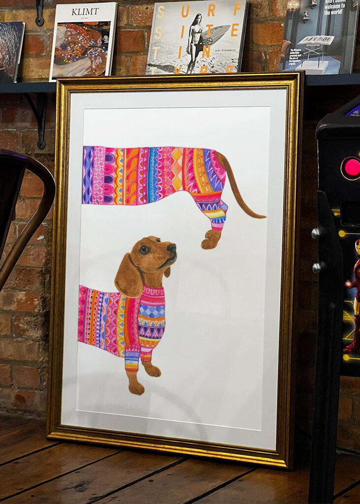 Colorido paseo canino