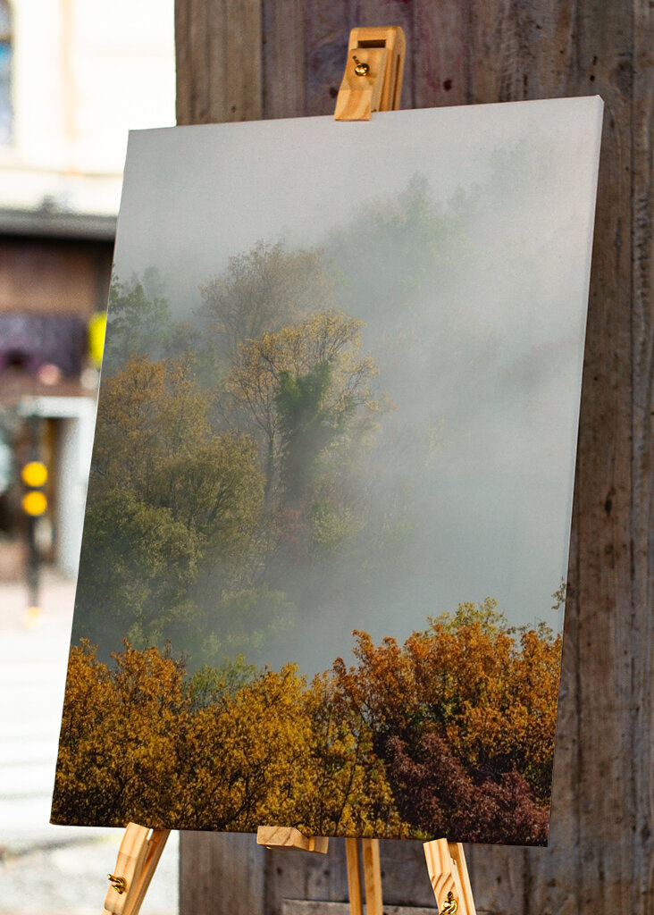 Mystischer Morgenwald