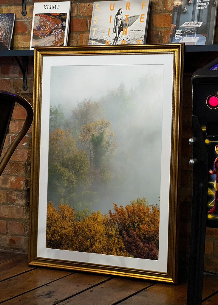 Mystischer Morgenwald