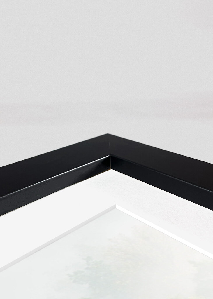 Mystischer Morgenwald