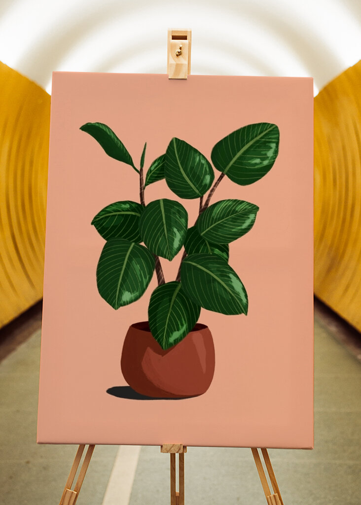 Rubberplant