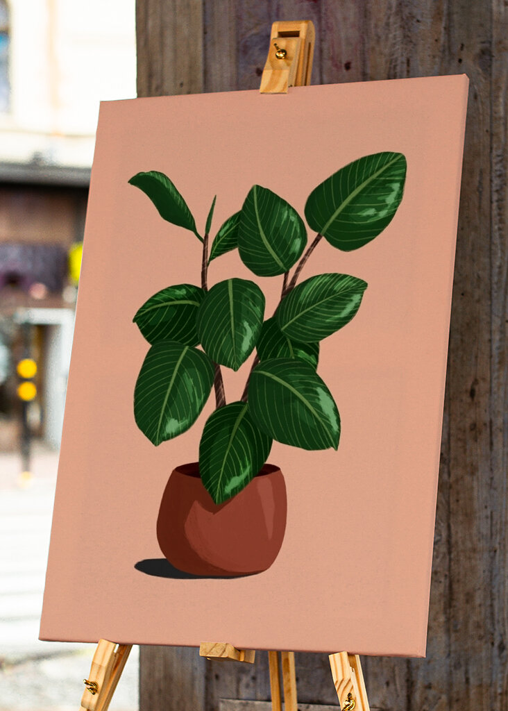 Rubberplant