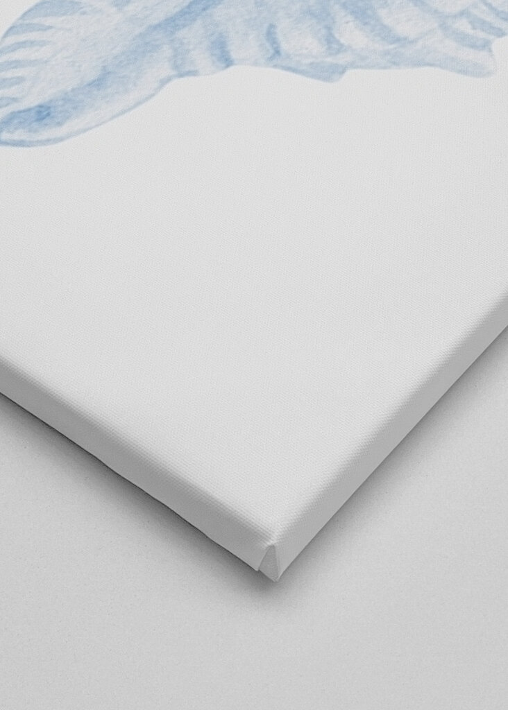 Blue Seashell Serenity