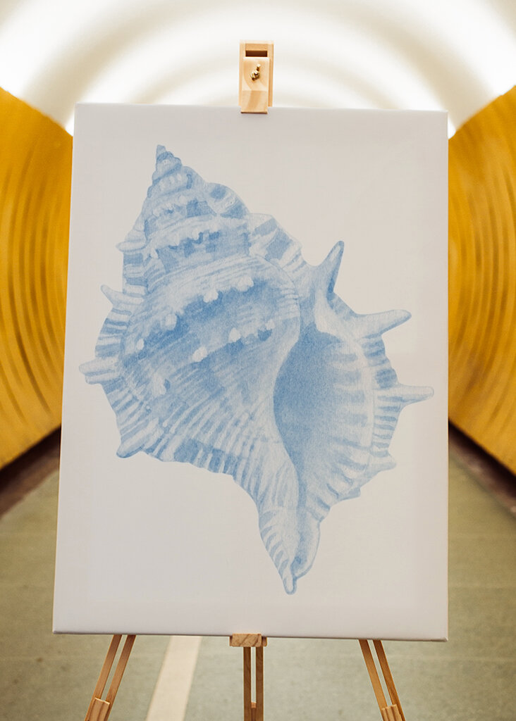 Blue Seashell Serenity