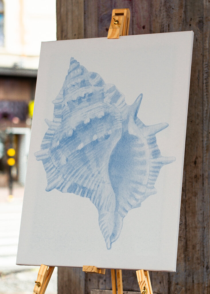 Blue Seashell Serenity