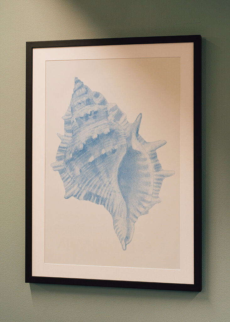 Blue Seashell Serenity