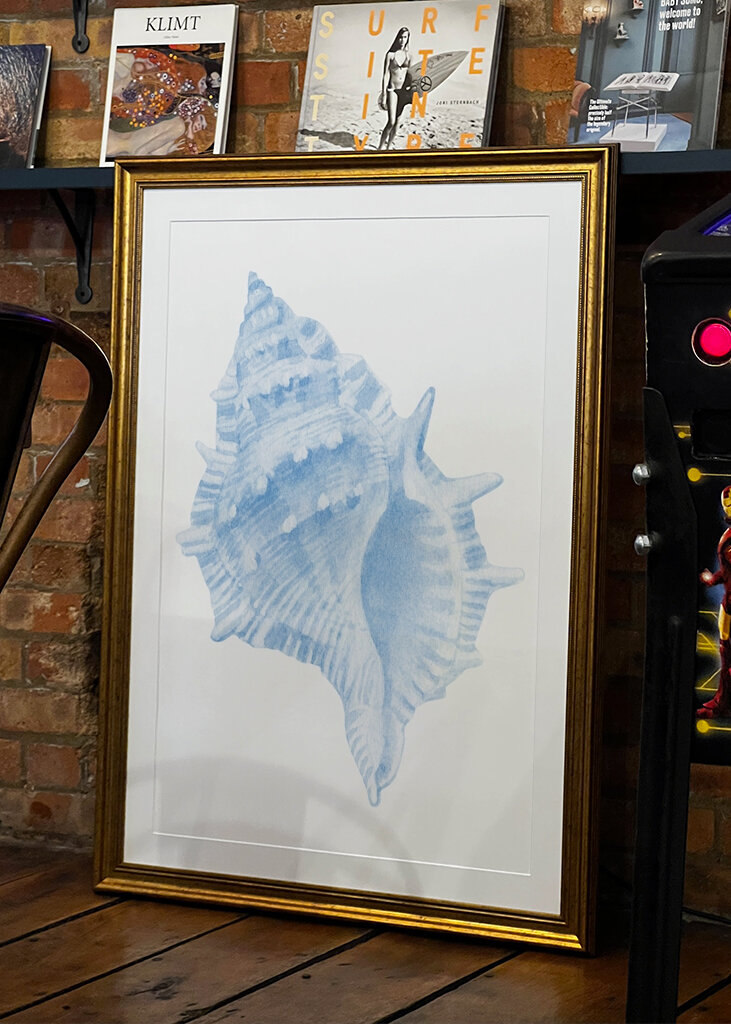 Blue Seashell Serenity