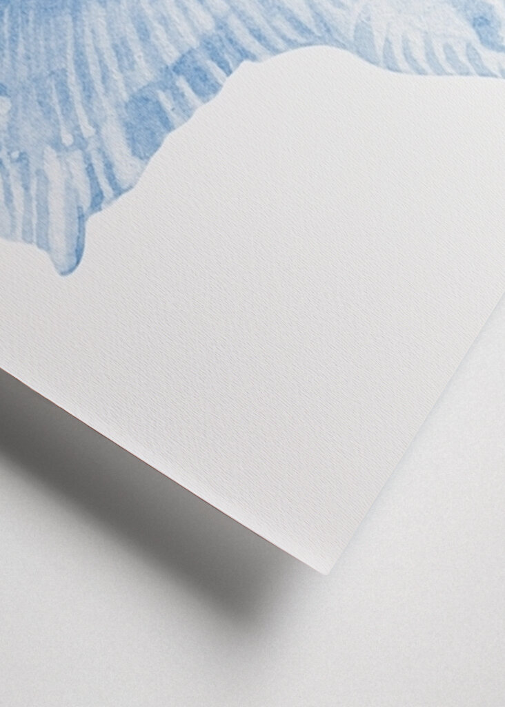 Blue Seashell Serenity