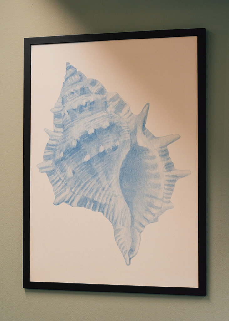 Blue Seashell Serenity