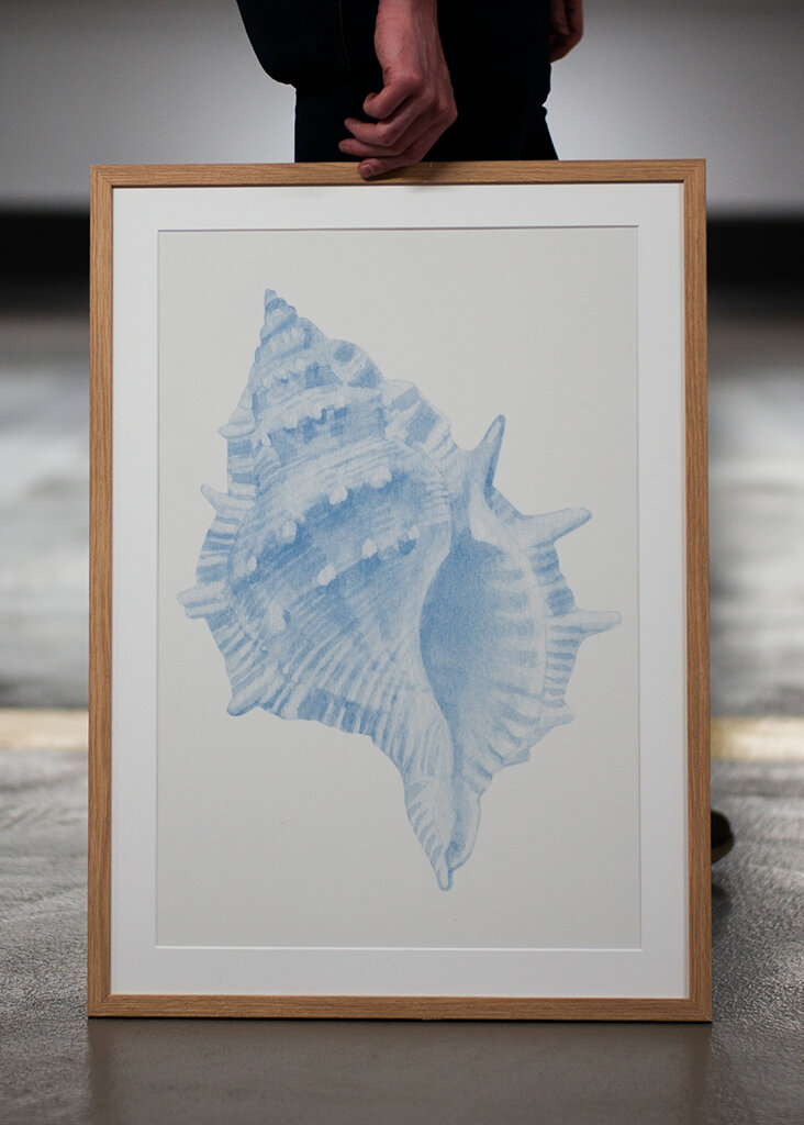 Blue Seashell Serenity