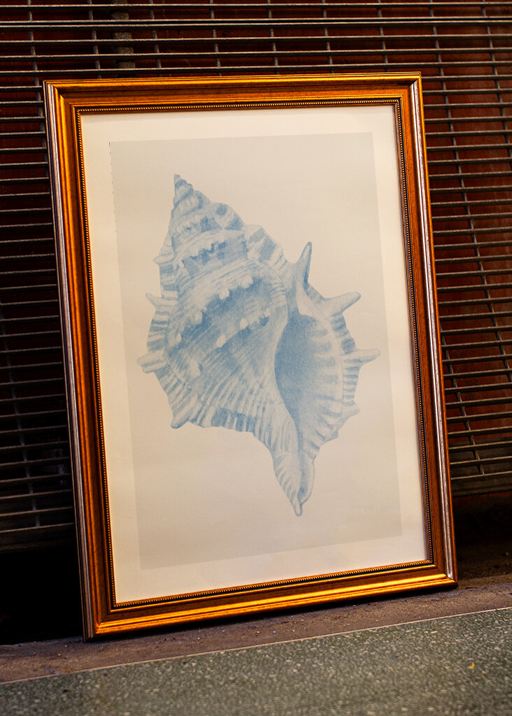 Blue Seashell Serenity