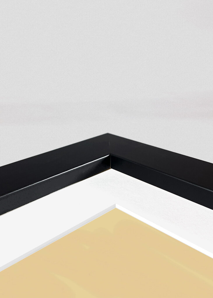 Morning Contemplation