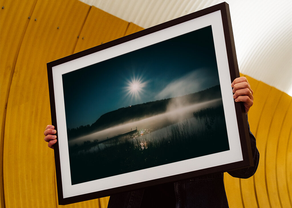 Moonlight over the pond