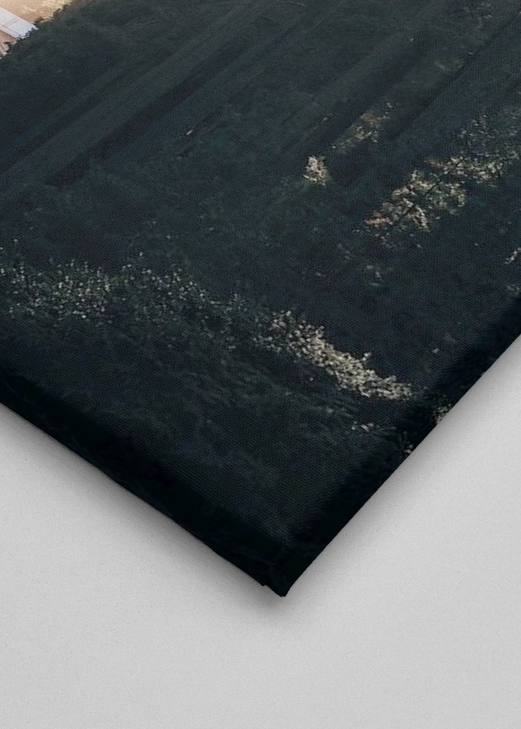 Lesní hřbitov ve světle