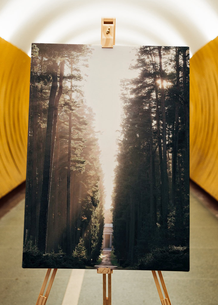 Lesní hřbitov ve světle