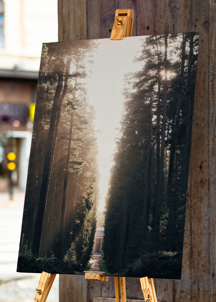 Lesní hřbitov ve světle