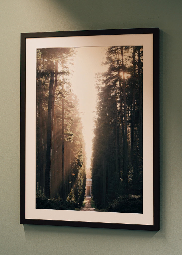 Lesní hřbitov ve světle