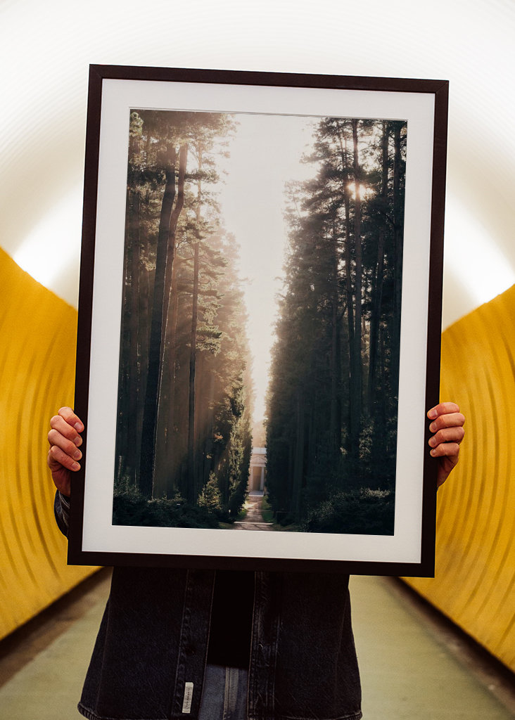 Lesní hřbitov ve světle