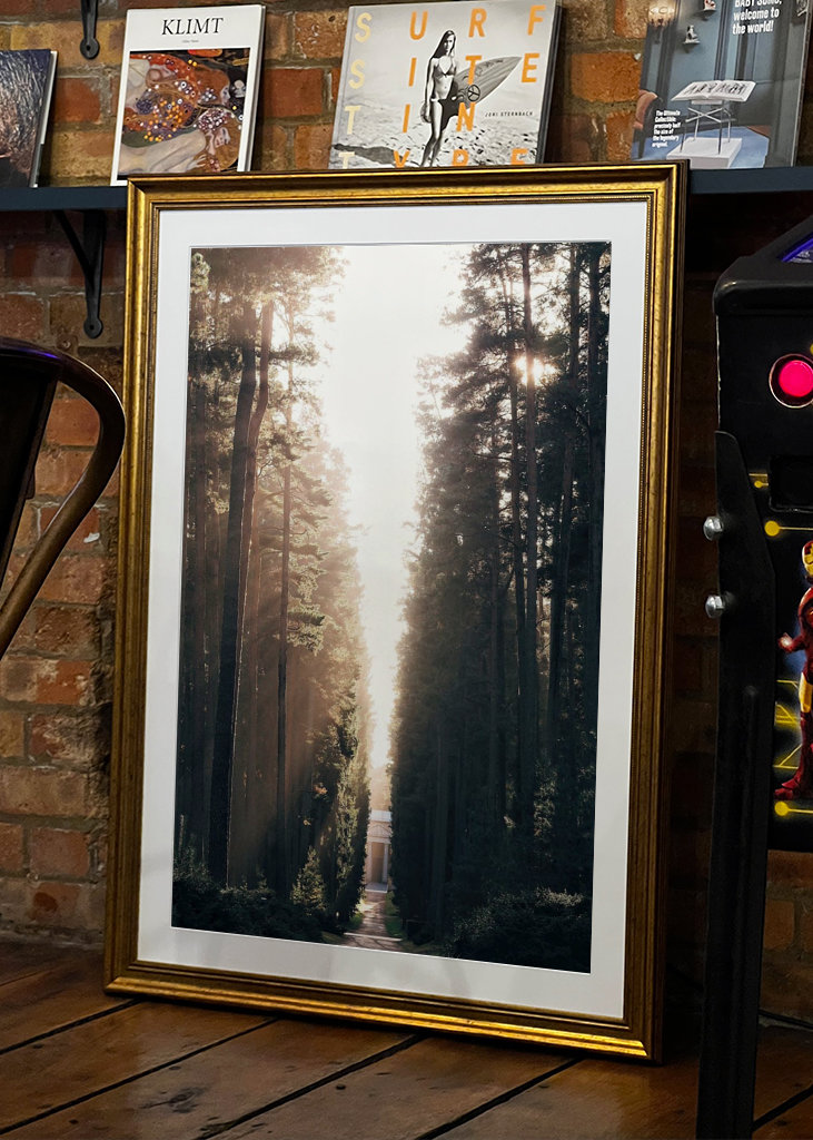 Lesní hřbitov ve světle