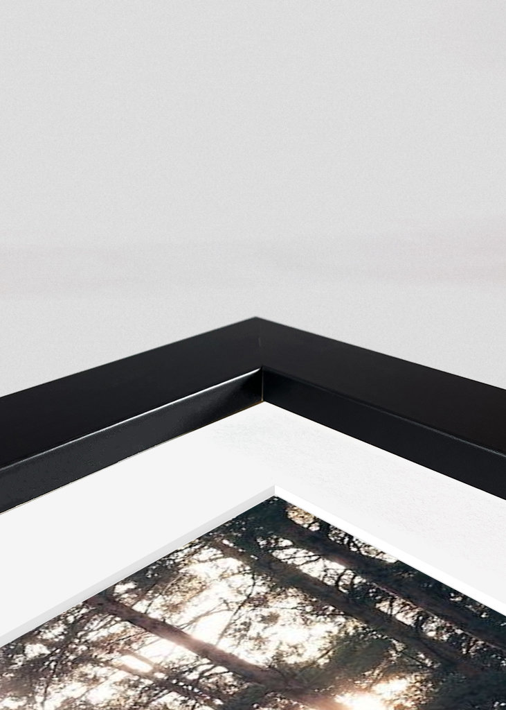 Lesní hřbitov ve světle