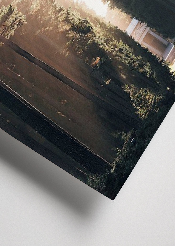 Lesní hřbitov ve světle