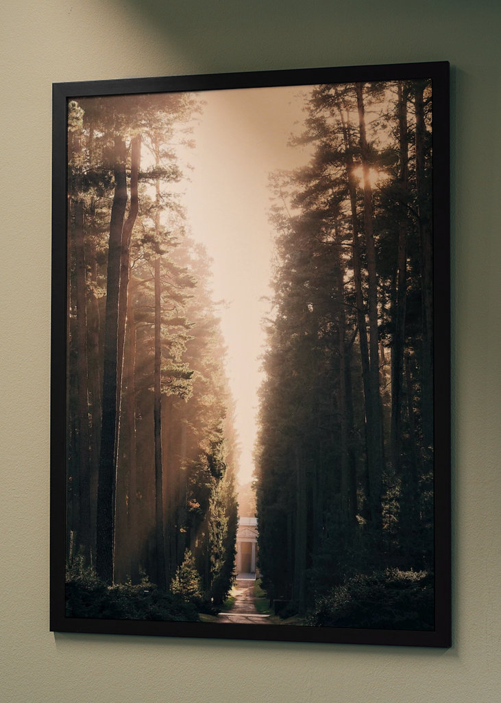 Lesní hřbitov ve světle