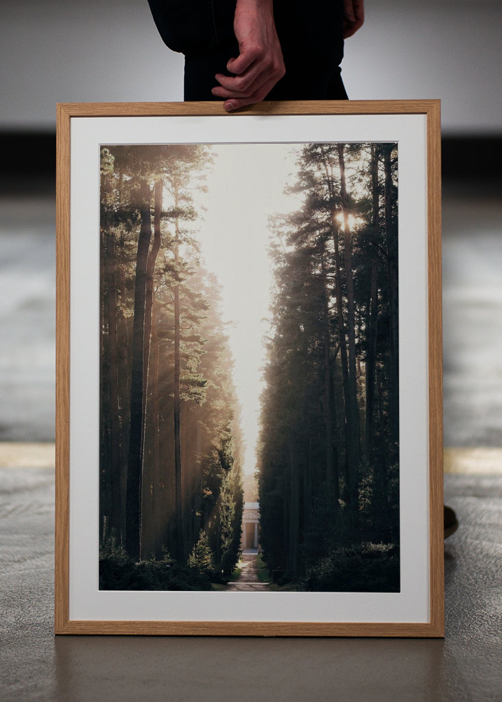 Lesní hřbitov ve světle