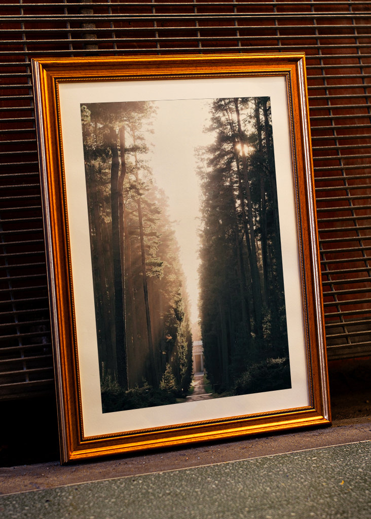 Lesní hřbitov ve světle