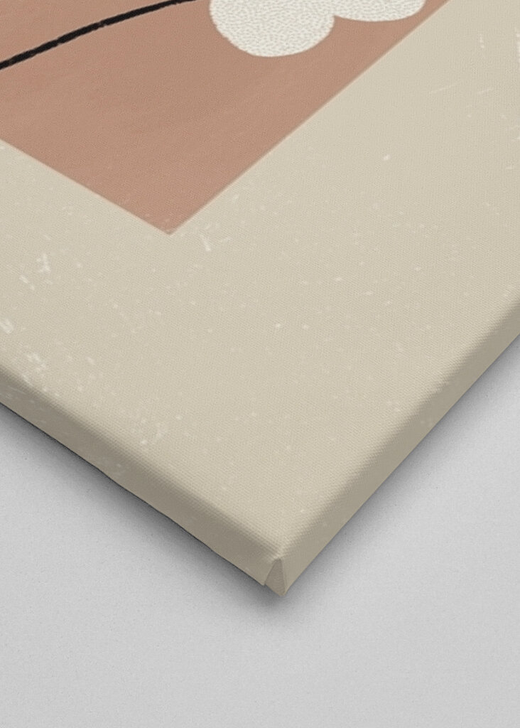 Harmonie květinové geometrie